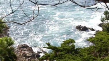 Kayalık okyanus kıyıları ve selvi koruluğu, mavi su dalgaları ve kozalaklı çam ağacı ormanı, manzara 17 mil sürüş Point Lobos, Big Sur ve Pebble Beach, California USA yakınlarındaki Monterey doğası. Deniz Burnu
