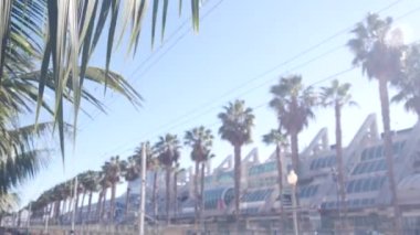 Palmiye ağaçları ve mavi yaz gökyüzü, San Diego şehir sokağı, Kaliforniya ABD. Palmiye ağaçları güneşli bir günde rüzgarda yapraklanır. Kongre Merkezi ve Gaslamp Quarter 'ın avuçlarında sıra sıra. Tropik yemyeşil yapraklar.