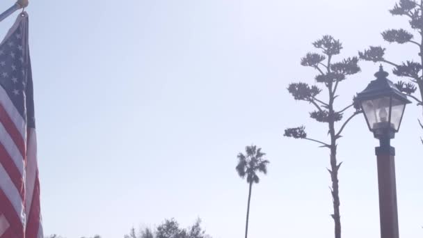Succulent Agave Flower Panicle Vintage Lantern American Flag Waving Western — Vídeo de Stock
