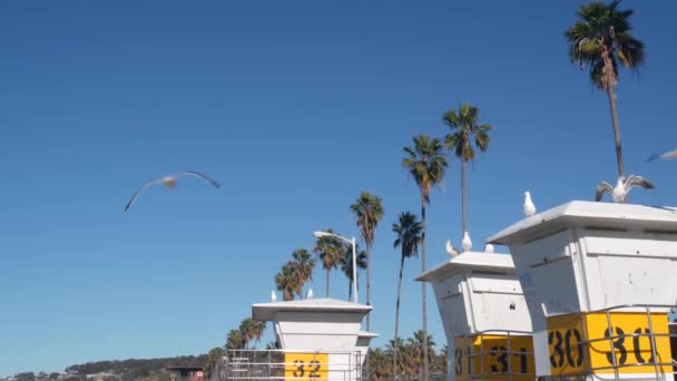 救生员站或救生员塔小屋 在美国加州海滩安全冲浪 夏季太平洋美感 圣地亚哥La Jolla的营救站 海岸救生水塔或房屋 棕榈树 — 图库视频影像