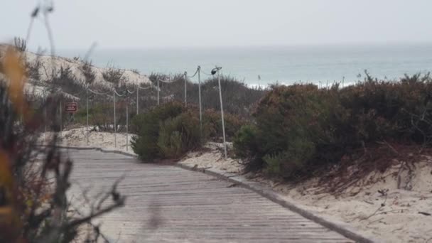 Ocean Beach Piaszczyste Wydmy Monterey Natura California Mgliste Wybrzeże Usa — Wideo stockowe
