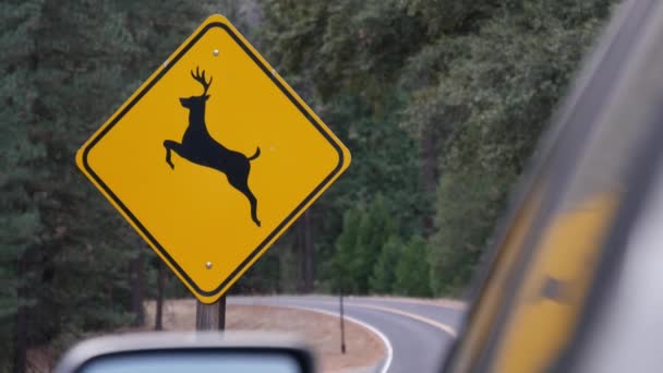 Veado Cruzando Aviso Sinal Amarelo Califórnia Eua Animais Selvagens Xing — Vídeo de Stock