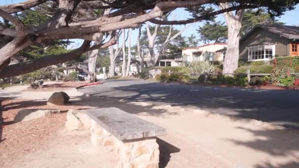 Typische Vorortstraße Wohnviertel Einfamilienhäuser Oder Einfamilienhäuser Straße Carmel City Monterey — Stockvideo