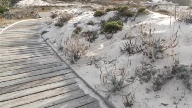 Tahta kaldırım yolu, Monterey 'de sahil kum tepeleri, Kaliforniya' da 17 millik sürüş alanı. Yaya yolu, yabanda yürümek için kaldırım ya da yaya yolu. Turizm, yürüyüş ve eko-turizm.