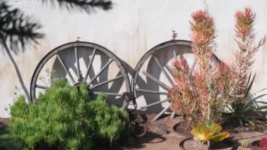 Eski ahşap tekerlek, Meksika kırsal çiftlik bahçesinde beyaz duvar. Taşra köyünde sulu bitkiler, kırsal çiftlik dekoru. İspanyol evi dış mekan, Kaliforniya 'da yeşillik içinde bir kır evi..