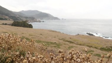 Bixby deresi köprüsü, kayalık kayalık okyanus, uçurum ya da dik kayalık uçurum, sisli hava. Sahilde deniz dalgaları. Kaliforniya manzarası, Big Sur doğa, ABD. Pasifik kıyısı otoyolu 1, Cabrillo manzaralı yol.