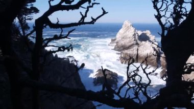 Kayalık okyanus plajı. Büyük dalgalar kayalıklara çarpıyor, su sıçrıyor, deniz köpüğü. Big Sur yakınlarında doğanın gücü, 17 millik yol. Point Lobos Deniz Burnu, Monterey, California Sahili, ABD. Selvi ağacı.