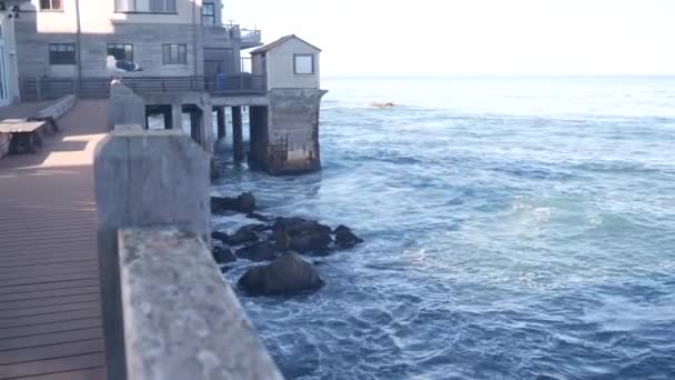 Paseo Marítimo Madera Frente Mar Monterey California Usa Paseo Marítimo — Vídeo de stock