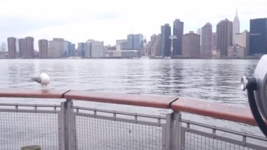 New York City rıhtım silueti, Manhattan Midtown binaları, doğu nehri kıyısında nehir kenarındaki gökdelenler. Deniz kenarı manzarası, martı, Gantry Plaza rıhtımında kule görüntüleyicisi, Long Island, Queens, ABD