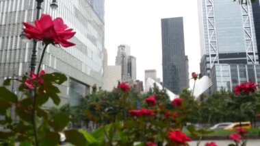 New York City Aşağı Manhattan Finansal Bölge sokak mimarisi, Birleşik Devletler. Bir Dünya Ticaret Merkezi gökdelen binası, ABD. Amerikan şehir parkı. Özgürlük Kulesi 'nin yanındaki 911 Anıt Havuzları.