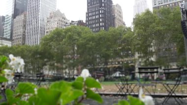 New York City, Manhattan Midtown Bryant Park. Halk kütüphanesi, 42 sokak ve 5. Cadde köşesi, ABD. Amerika 'da NYC' nin simgesi. Yeşillikte boş sandalye ve masa. Yeşil çimen.