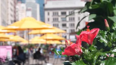 New York, Birleşik Devletler, Manhattan Midtown Broadway, 23 sokak, 5 bulvar kavşağı. Madison Park yakınlarındaki Worth Meydanı, Flatiron Binası, ABD. Sandalyeli, masalı ve şemsiyeli insanlar. Yaz çiçekleri.