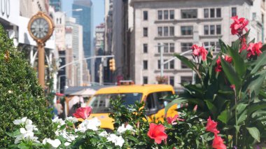 New York, Birleşik Devletler, Manhattan Midtown Broadway, 23 sokak, 5 bulvar kavşağı. Madison Park ve Flatiron Binası yakınlarındaki Worth Meydanı, ABD. Sarı taksi, sokak saati, çiçekler..