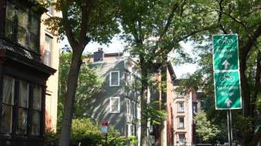 Bisiklet şeridi tabelası, Brooklyn Heights sokağı, New York. Manhattan Köprüsü bisiklet yolu, bisiklet yolu. Bisikletçiler yeşil yol işareti, ağaçlar. Eğlence amaçlı spor faaliyeti altyapısı, Birleşik Devletler.