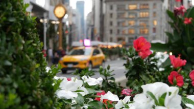 New York, Birleşik Devletler, Manhattan Midtown Broadway, 23 sokak, 5 bulvar kavşağı. Madison Park yakınlarındaki Worth Meydanı, Flatiron, ABD. Sarı taksi, çiçekler, sokak saati, okul otobüsü..
