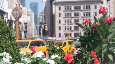 New York, Birleşik Devletler, Manhattan Midtown Broadway, 23 sokak, 5 bulvar kavşağı. Madison Park ve Flatiron Binası yakınlarındaki Worth Meydanı, ABD. Sarı taksi, sokak saati, çiçekler..