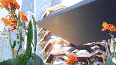 New York, Birleşik Devletler. Hudson Yards şehir mimarisi Chelsea, New York Manhattan Midtown, ABD 'de. Amerikan sanat eserleri ve çiçekler çiçek açar. Bahar ya da yaz çiçekliği. Yeşillik ve modern binalar