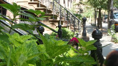 New York City konak binası, Brooklyn Heights yerleşim bölgesi, ABD. Brownstone şehir mimarisi, bağlı ev. Amerika Birleşik Devletleri emlak, Amerikan mülkü, New York 'ta apartmanlar ve evler.