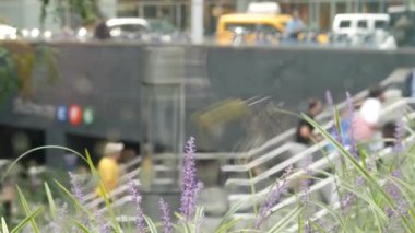 New York, ABD - 11 Eylül 2023 Manhattan Lexington Bulvarı, ABD. Odaklanamayan insanlar, yeraltı metro istasyonu, 53 caddedeki merdivenler, şehir merkezi. Yeşiller.