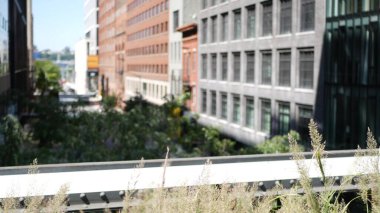 New York City High Line Greenway 'i yükseltti, Manhattan Midtown, ABD. Şehir parkındaki insanlar. Bahçedeki yeşillikte gezinti. Amerikan sokak hayatı, Hudson Yards yakınlarında Chelsea Highline. Mimari inşa ediliyor.