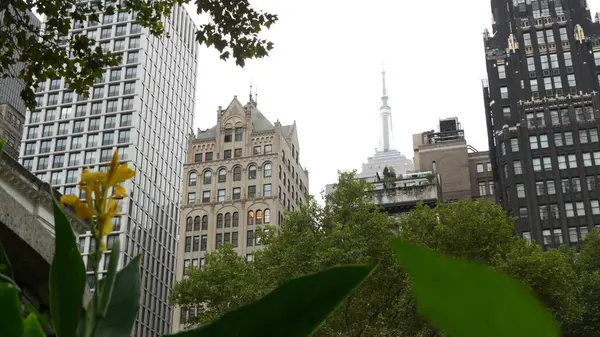 stock image New York City, Manhattan Midtown Bryant Park with Public library, 42 street and 5th Fifth 5 avenue corner, United States. NYC landmark in USA. Trees summer greenery in public park garden. Buildings.