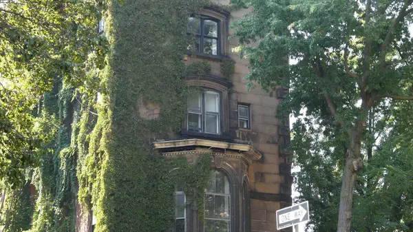 stock image New York City classic building architecture. Urban residential house corner exterior. Real estate property, USA. Typical green facade covered ivy plant. Wall garden on Stuyvesant street. Vine climber.