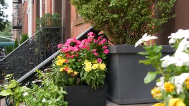 New York City konak binası, Brooklyn Heights yerleşim bölgesi, ABD. Brownstone şehir mimarisi, bağlı ev. Amerika Birleşik Devletleri emlak, Amerikan mülkü, New York 'ta apartmanlar ve evler.