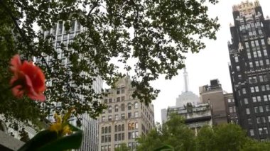 New York, Manhattan Midtown Bryant Parkı 42 sokak ve 5. Cadde köşesi, Birleşik Devletler. Amerika 'da NYC' nin simgesi. Parkın bahçesinde ağaçlar yeşillik. Binalar.