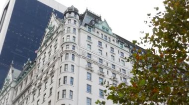 New York Şehri Manhattan Midtown. 5. Cadde 'deki Central Park, ABD. Amerika 'nın simgesi, NYC, ABD' deki şehir parkı. Grand Army Plaza, Pulitzer Plaza 'dan otel mimarisi.