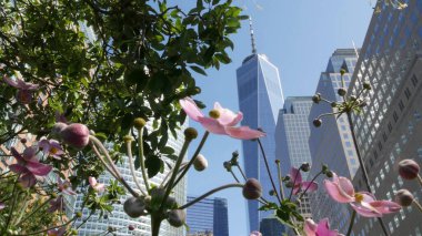 New York City Manhattan, Downtown Finans Bölgesi mimarisi, Birleşik Devletler. Bir Dünya Ticaret Merkezi gökdelen binası, ABD. Amerikan şehir sokağı. New York 'taki Özgürlük Kulesi. Batarya parkı. Brookfield