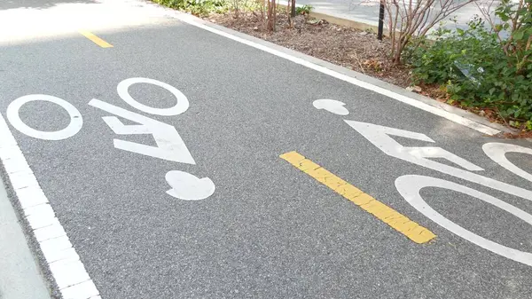 Bisiklet şeridi asfalt levhası, New York. Bisiklet yolu, bisikletçiler için bisiklet yolu, Manhattan. Patenler ve patenler için harika bir yol. Eğlence amaçlı spor etkinliği altyapısı, motosiklet bisikleti, ABD.