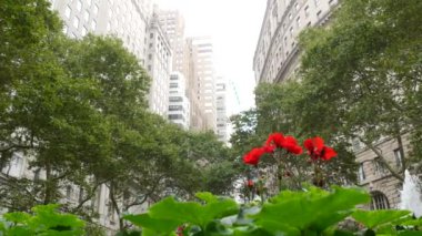 New York City Aşağı Manhattan, Downtown Finans Bölgesi mimarisi, Birleşik Devletler. Broadway caddesinde yüksek binalar, ABD. Amerikan şehir manzarası, Bowling Green Park, NYC 'de çeşme. Çiçekler..