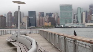 New York şehri kıyısı silueti, Manhattan şehir merkezi binaları, nehir kıyısındaki gökdelenler, doğu nehri suyu. Liman kenti manzarası, Gantry Plaza iskelesi, Long Island, Queens. Birleşik Devletler mimarisi.