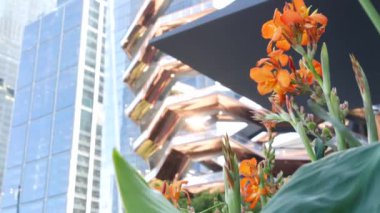 New York, Birleşik Devletler. Hudson Yards şehir mimarisi Chelsea, New York Manhattan Midtown, ABD 'de. Amerikan sanat eserleri ve çiçekler çiçek açar. Bahar ya da yaz çiçekliği. Yeşillik ve modern binalar