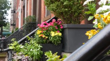 New York City konak binası, Brooklyn Heights yerleşim bölgesi, ABD. Brownstone şehir mimarisi, bağlı ev. Amerika Birleşik Devletleri emlak, Amerikan mülkü, New York 'ta apartmanlar ve evler.