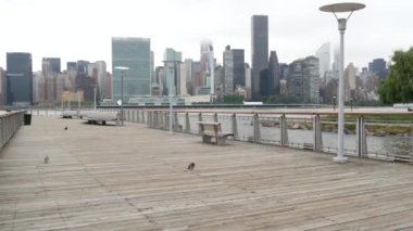New York şehri kıyısı silueti, Manhattan şehir merkezi binaları, nehir kıyısındaki gökdelenler, doğu nehri suyu. Liman kenti manzarası, Gantry Plaza iskelesi, Long Island, Queens. Birleşik Devletler mimarisi.