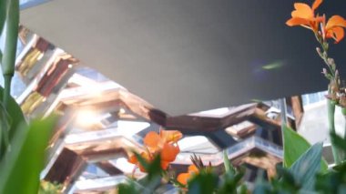 New York, Birleşik Devletler. Hudson Yards şehir mimarisi Chelsea, New York Manhattan Midtown, ABD 'de. Amerikan sanat eserleri ve çiçekler çiçek açar. Bahar ya da yaz çiçekliği. Yeşillik ve modern binalar