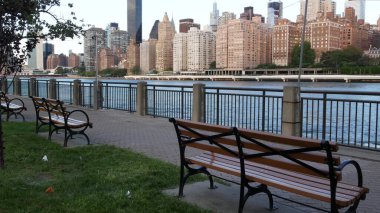 New York şehri kıyısı silueti, Manhattan şehir merkezi binaları, nehir kıyısındaki gökdelenler, doğu nehri suyu. Roosevelt Adası 'ndan deniz kenarı manzarası. Birleşik Devletler mimarisi ve gayrimenkul.