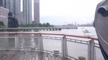 New York City rıhtımının ufuk çizgisi, nehir kıyısındaki gökdelenler, doğu nehri suyu. Liman kenti manzarası, martı, Gantry Plaza rıhtımındaki kule görüntüleme, Long Island tabelası, Queens binaları, Birleşik Devletler.