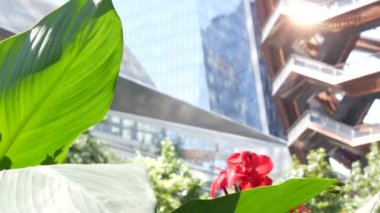 New York, Birleşik Devletler. Hudson Yards şehir mimarisi Chelsea, New York Manhattan Midtown, ABD 'de. Amerikan sanat eserleri ve çiçekler çiçek açar. Bahar ya da yaz çiçekliği. Yeşillik ve modern binalar