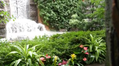 New York şehri hayatı, şehir parkı, Greenacre Park şelalesi. Amerikan Manhattan Midtown, ABD. Çiçek tarlasında tropikal çiçekler, ağaçlar yeşillik. NYC 51. Cadde 'deki yeşil vaha..