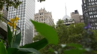 New York, Manhattan Midtown Bryant Parkı 42 sokak ve 5. Cadde köşesi, Birleşik Devletler. Amerika 'da NYC' nin simgesi. Parkın bahçesinde ağaçlar yeşillik. Binalar.