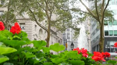 New York City Aşağı Manhattan, Downtown Finans Bölgesi mimarisi, Birleşik Devletler. Broadway caddesinde yüksek binalar, ABD. Amerikan şehir manzarası, Bowling Green Park, NYC 'de çeşme. Çiçekler..