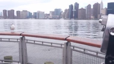 New York City rıhtım silueti, Manhattan Midtown binaları, doğu nehri kıyısında nehir kenarındaki gökdelenler. Deniz kenarı manzarası, martı, Gantry Plaza rıhtımında kule görüntüleyicisi, Long Island, Queens, ABD