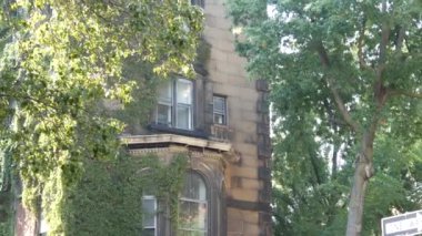 New York City klasik bina mimarisi. Şehir merkezindeki köşenin dış tarafında. Emlak mülkü, ABD. Tipik yeşil cephe sarmaşık bitkisini kaplıyor. Stuyvesant Caddesi 'ndeki duvar bahçesi. Sarmaşık tırmanıcısı.