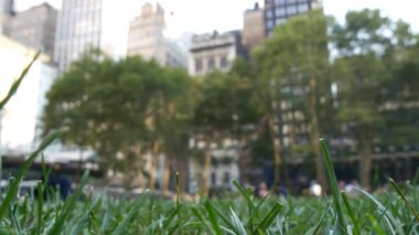 New York, Manhattan Midtown Bryant Parkı 42 sokak ve 5. Cadde köşesi, Birleşik Devletler. Amerika 'da NYC' nin simgesi. Parkın bahçesinde ağaçlar yeşillik. Binalar.