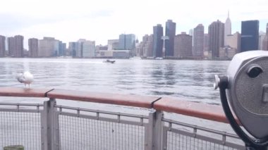 New York City rıhtım silueti, Manhattan Midtown binaları, nehir kenarındaki gökdelenler, Doğu nehri. Rıhtım manzarası, kule manzarası, Gantry Plaza. Long Island, Queens 'te. Birleşik Devletler turizmi. Martı..