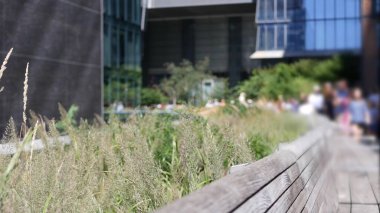 New York City High Line Greenway 'i yükseltti, Manhattan Midtown, ABD. Şehir parkındaki insanlar. Bahçedeki yeşillikte gezinti. Amerikan sokak hayatı, Hudson Yards yakınlarında Chelsea Highline. Tahta bank..