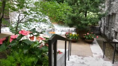 New York şehri hayatı, şehir parkı, Greenacre Park şelalesi. Amerikan Manhattan Midtown, ABD. Çiçek tarlasında tropikal çiçekler, ağaçlar yeşillik. NYC 51. Cadde 'deki yeşil vaha..