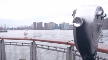 New York City rıhtım silueti, Manhattan Midtown binaları, nehir kenarındaki gökdelenler, Doğu nehri. Rıhtım manzarası, kule manzarası, Gantry Plaza. Long Island, Queens 'te. Birleşik Devletler turizmi. Martı..